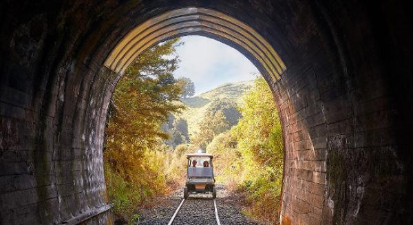 陶馬魯努伊全天 20 隧道鐵路車體驗 |新西蘭