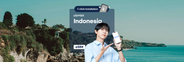 【30%割引】インドネシア XL (Excelcom) / Telkomsel eSIM