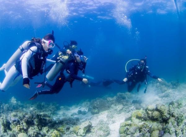 持證水肺潛水員在宿霧的有趣潛水,往返接送 |菲律賓