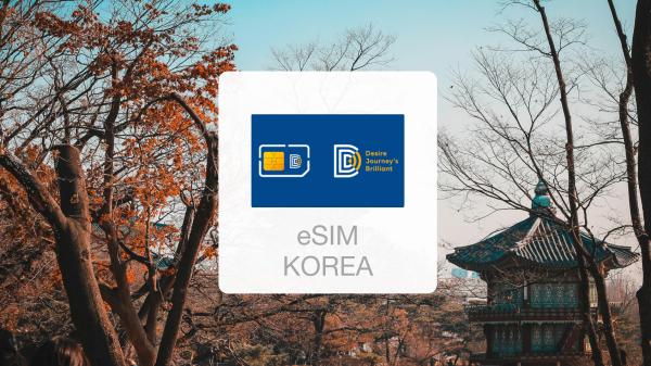 韓國網卡|每日吃到飽/500MB/1GB上網卡eSIM