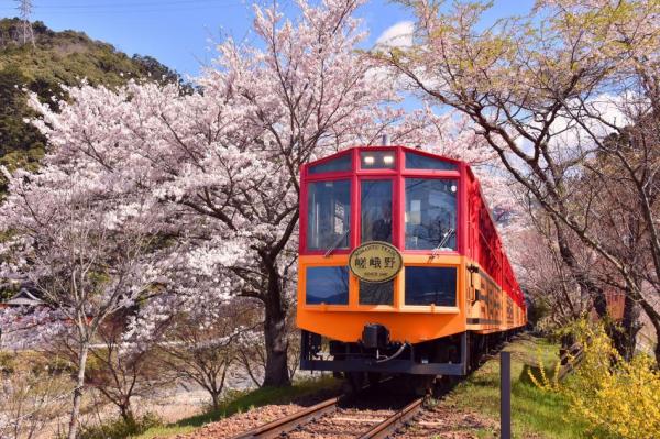 ตั๋วรถไฟโรแมนติกซากาโนะ (ตั๋วเที่ยวเดียว) | สถานีซากะ - สถานีคาเมโอกะ | เกียวโต ญี่ปุ่น