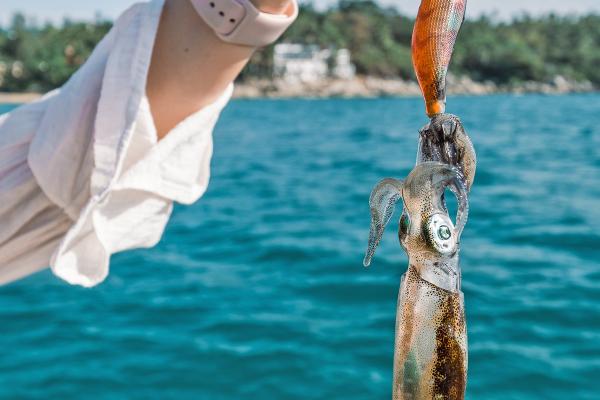 泰國麗貝島|長尾船海釣魷魚一日遊