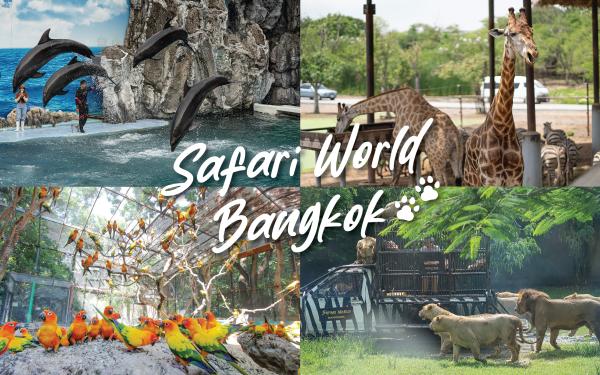 【泰國】曼谷野生動物園(SAFARI WORLD)|拼車/包車接送一日遊