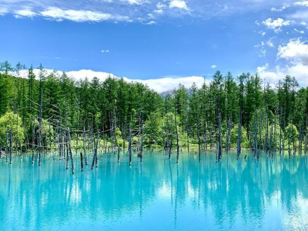 台灣虎航.高雄出發|限量清倉.日本北海道 5 天&6 天計劃機票|含餐含行李