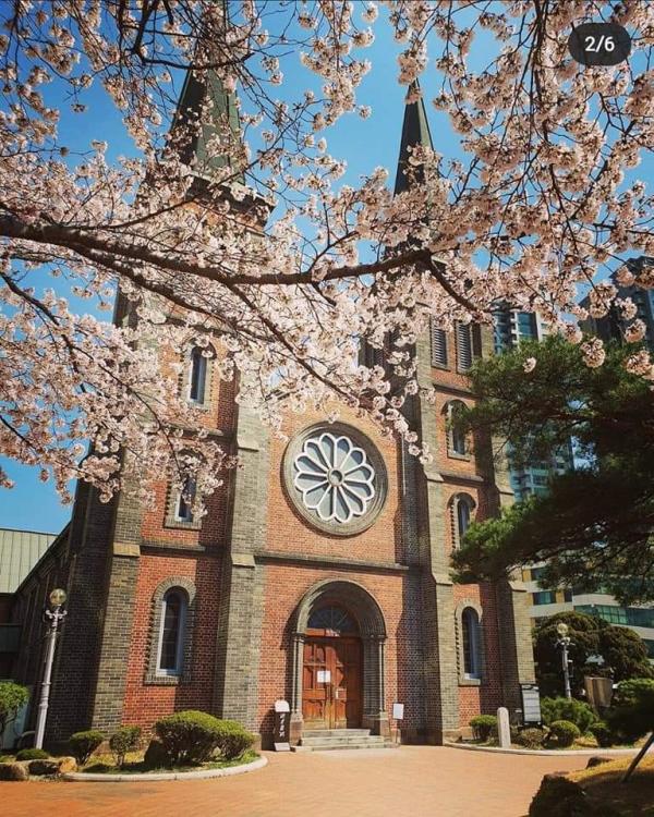 韓國大邱|桂山聖堂、青蘿之丘、韓式美妝體驗半日遊