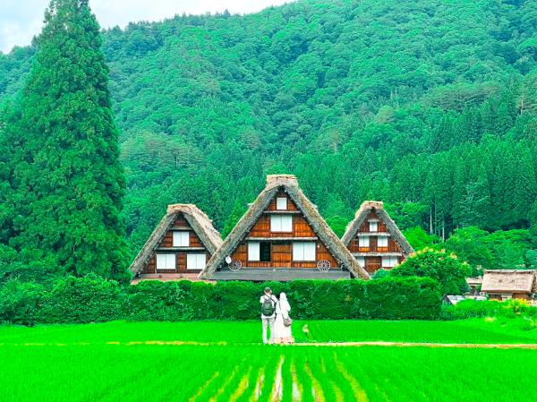 Central Japan Day Tour from Nagoya: Gassho Village in Shirakawa-go & Hida Takayama Old Town