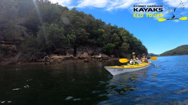 雪梨中港獨木舟生態之旅(Sydney Harbour Kayaks承辦)