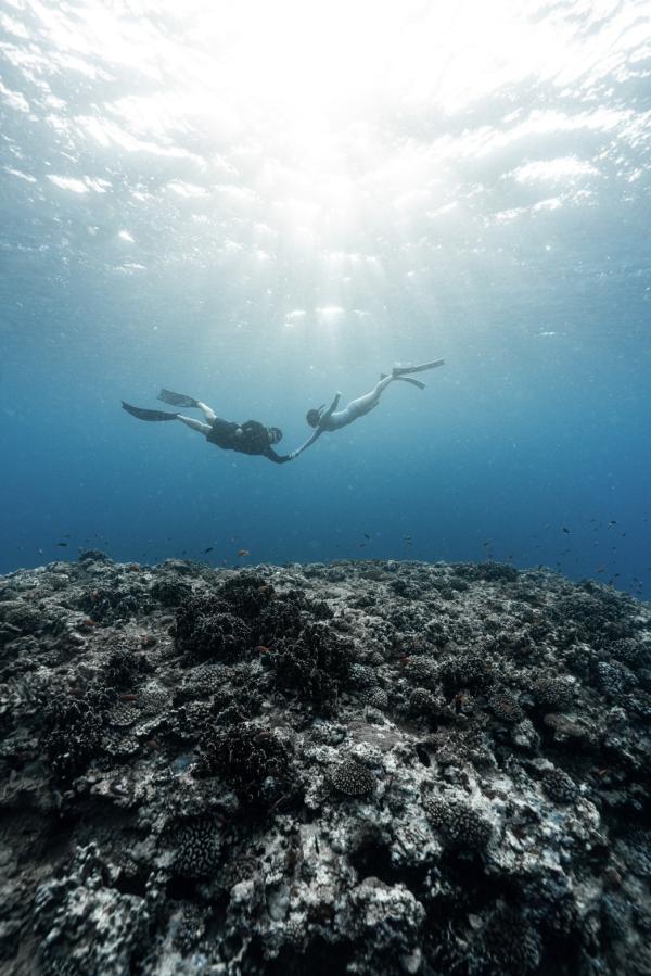 【蘭嶼】自由潛水導潛|需證照、有經驗|含水中紀錄