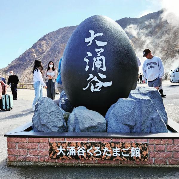 Mt. Fuji Hakone Day Trip: Hot Spring Bathing, Gotemba Outlets, Owakudani, Lake Ashinoko & Hakone Shrine|Departure from Tokyo