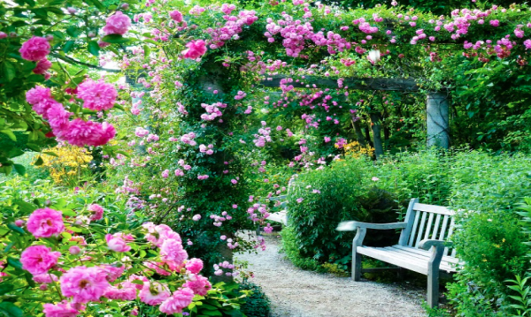 日本長野|蓼科高原玫瑰生活英式花園・下午茶套票|即買即用