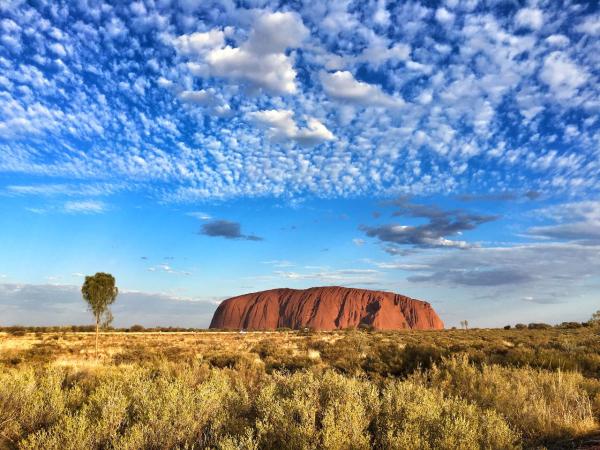Uluru Sunrise and Rock Circle Day Tour | Mandarin Tour