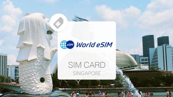 新加坡網卡|4G 高速eSIM|15/20日 總量 5GB/10GB 上網 eSIM