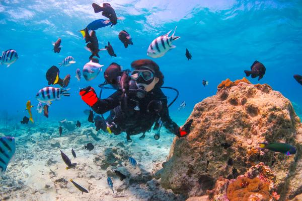 Okinawa, Onna Village | Introductory Diving Experience in the Beautiful Sea [Private Guide Only / Excellent Safety Measures] Free Photos & Videos | Boat Tour