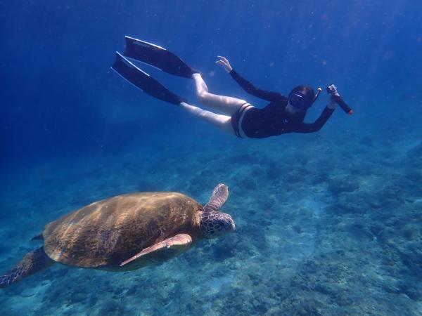 屏東小琉球|體驗自由潛水|水上活動|O2潛水俱樂部