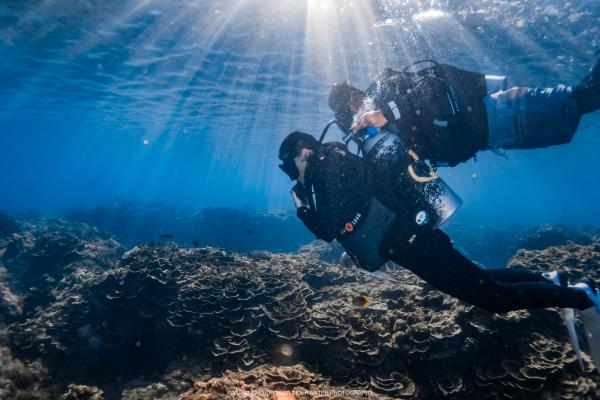 【盛夏屏東】屏東|台灣潛水 潛水體驗|含潛水裝備、水下拍照