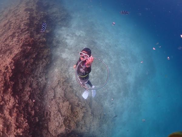 日本沖繩|青洞外自由潛水(free diving)體驗