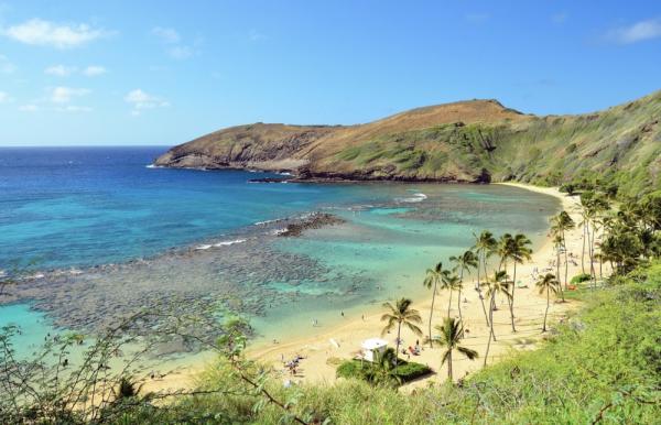 특별혜택|[전용 전세 차량] 하와이 오아후 전세 차량 1일 투어(중국어 기사님과 함께) |