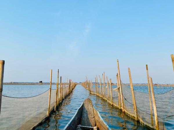 Tam Giang 潟湖和乘船一日遊(含釣魚體驗)從順化市出發 |越南