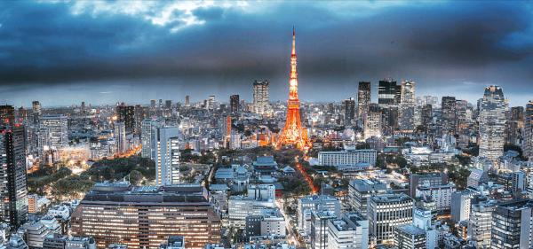 空港送迎サービス:東京、横浜、富士山、箱根の成田空港(NRT)/羽田空港(HND)での送迎。