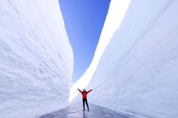 【 雪牆絕景・熱賣加開 】自選航空・桃園出發|名古屋 5 天&6 天 計劃機票・1人成行|自選超值方案&贈唐吉軻德優惠券