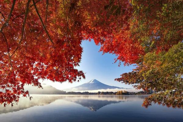 【季節限定】日本東京|東京富士山雙湖一日遊|富士山、新倉山淺間公園、河口湖、山中湖(東京出發)