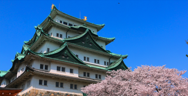 Airport Transfer Service: Private Car Transfer to Nagoya Airport, Japan | Chubu Centrair International Airport (NGO) ⇌ Nagoya City Hotels
