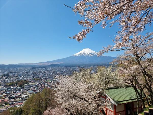 富士山觀景&御殿場奧特萊斯2小時以上自由活動|新宿出發
