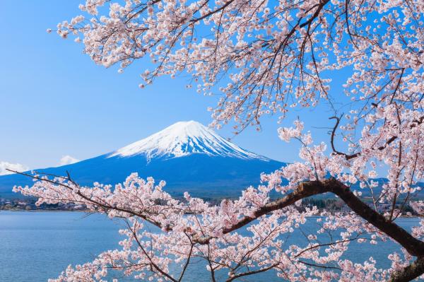 富士山全景纜車 & 時令水果採摘|新宿出發
