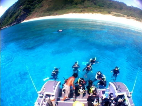 從那霸慶良間群島出發,每天3個地點的遊覽和攝影服務浮潛體驗+賞鯨服務(1月至3月)(沖繩海上活動)
