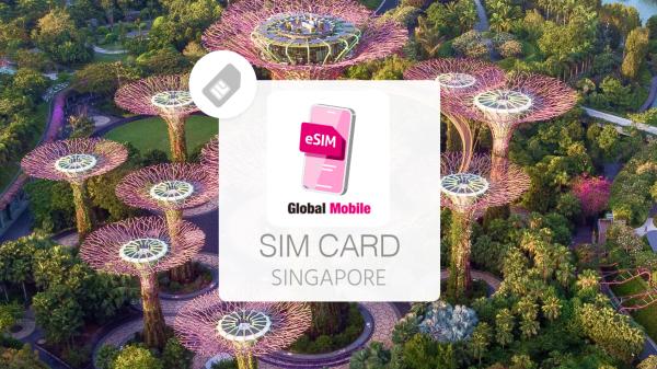 新加坡網卡|4G高速上網 每日高速500MB/1GB/2GB/3GB 無限流量 eSIM(透過e-mail發送)