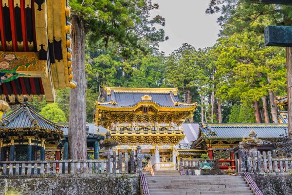 ออกเดินทางจากโตเกียว | ทัวร์ส่วนตัวแบบเช่าเหมาลําที่นิกโก้หรืออาชิคางะ/ซาโนะ | ศาลเจ้านิกโก้โทโชกุ & น้ําตกเคงอน & สะพานชินเคียว & กระเช้าลอยฟ้าอะเคจิไดระ หรือ ศาลเจ้าโอริฮิเมะ & สวนดอกไม้อาชิคางะ & ซาโนะพรีเมียมเอาท์เล็ท