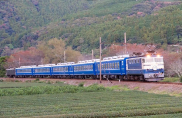 Cherry Blossom Viewing Day Trip Bus Tour: Sakura in the Air! Oigawa Railway Blue Train Express and a Lunch Buffet at a Farmhouse Restaurant with Plenty of Vegetables (Departing from Nagoya)
