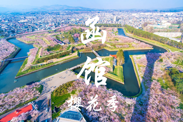 【桜の季節限定】北海道貸切日帰りツアー|函館発・函館着で自由に選べる旅程