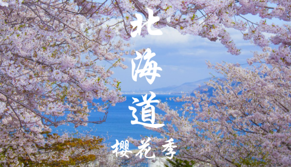 【櫻花季限定】日本北海道包車一日遊|札幌出發結束、行程自由搭配