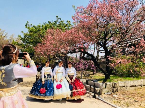 [South Korea] Seoul Hanbok Fun and Food One Day Tour|Gyeongbokgung Palace & Jungang Market & Popular Starbucks on the Water|Departing from Seoul