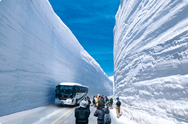 日本北陸|黑部立山雪牆絕景二日遊|阿爾卑斯山路線大雪谷&上高地|名古屋出發