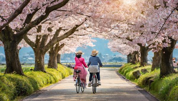 【東京】櫻花季🌸騎單車環遊各大人氣打卡賞櫻景點 一路導遊陪同+拍照📷(可選)