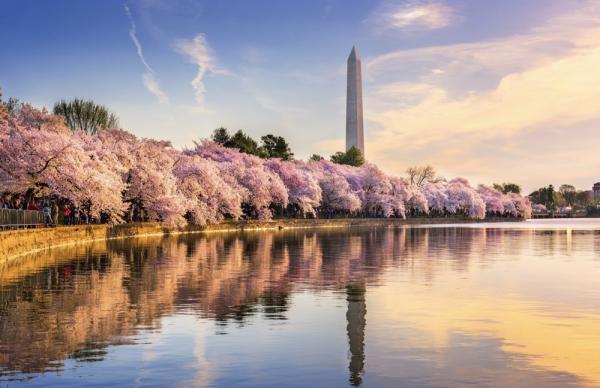 [Exclusive Private charter car] Customized Private charter car for a Day Tour of Washington DC City with a Chinese-speaking Driver