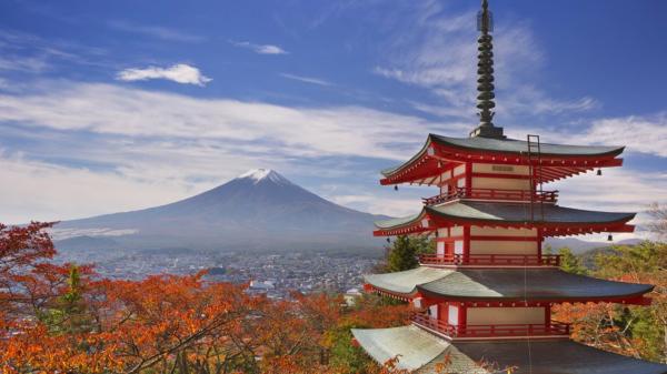 日本東京 |富士山 |五合目或新倉山淺間公園+忍野八海+溫泉體驗或禦殿場奧特萊斯|可選小團遊 |東京出發