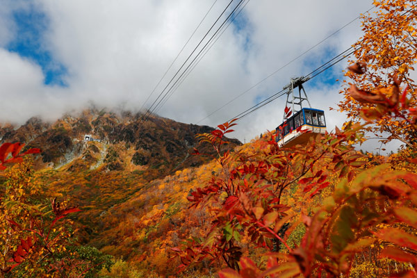 【日本旅遊】秋季阿爾卑斯~立山黑部、童話合掌村、金澤兼六園、上高地輕健行五日