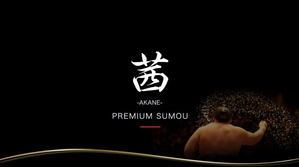 PREMIUM-Akane-五月大相撲錦標賽特別座位(兩國國技館、東京/Masu座位)