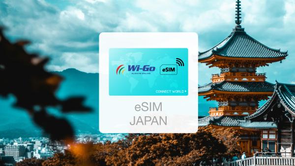 日本網卡|日本DOCOMO 4-30日每日高速/總量 eSIM