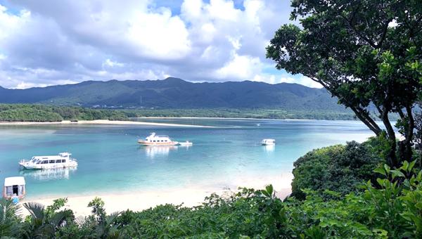 일본 오키나와 이시가키섬 전세 차량 투어 | 3개 노선 · 맞춤형 서비스 제공 가능 | 호텔, 공항, 크루즈 항구 픽업 및 하차