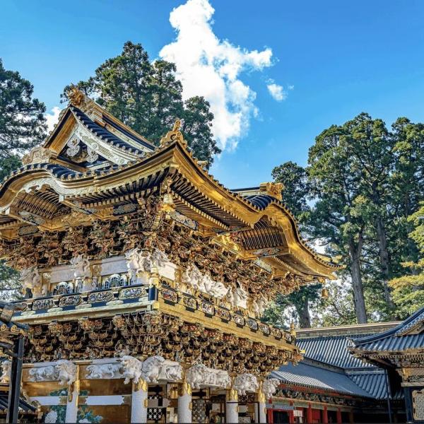 ทัวร์ญี่ปุ่น Nikko & Izu รถยนต์เช่าเหมาส่วนตัว ลํา | แผนการเดินทางที่ปรับแต่งได้