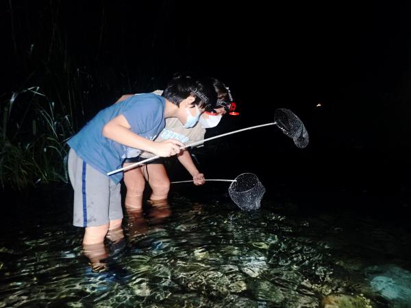 台灣花蓮|夜間抓溪蝦體驗