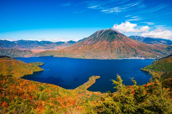 東京発 | 10時間貸切チャーター車日帰り旅行 ⮂ 横浜、鎌倉・江ノ島、富士山、箱根、軽井沢、日光、群馬