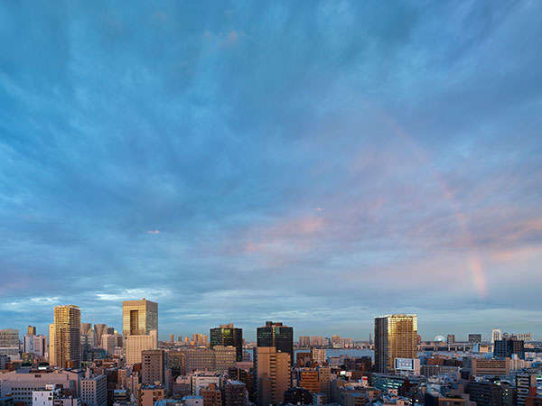 HOTEL THE CELESTINE TOKYO SHIBA (formerly CELESTINE HOTEL)