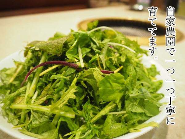 Kameido/Hirai, Tokyo | Korean cuisine Yakiniku Kitasuna Toraji(焼肉 北砂トラジ)| Seat Reservation Only