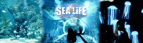 曼谷 | 暹羅海洋世界和杜莎夫人蠟像館門票