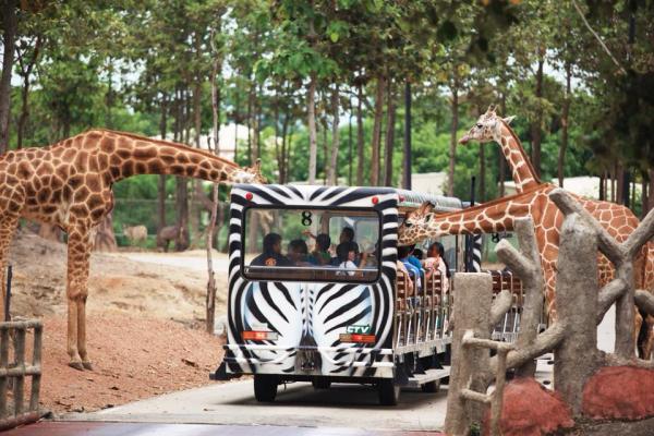 【泰國】清邁夜間動物園門票 Chiang Mai Night Safari